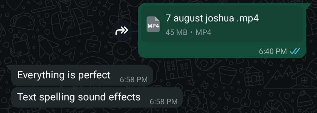 WhatsApp message: Everything is perfect